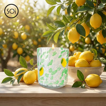 Load image into Gallery viewer, 12 oz Icon Candles
