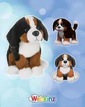 Load image into Gallery viewer, 2025 Webkinz
