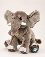 Load image into Gallery viewer, 2026 Webkinz

