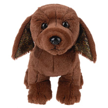 Load image into Gallery viewer, 2026 Webkinz
