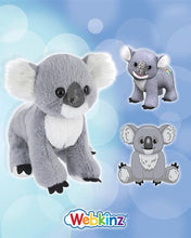 Load image into Gallery viewer, 2025 Webkinz
