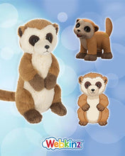 Load image into Gallery viewer, 2025 Webkinz
