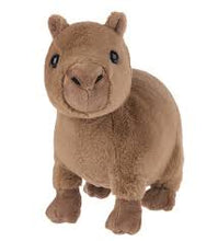 Load image into Gallery viewer, 2026 Webkinz
