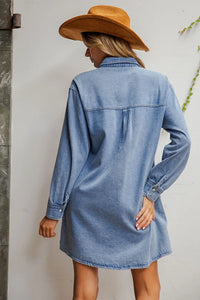 Rowdy Rodeo Denim Dress