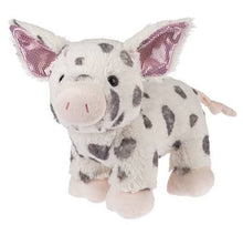 Load image into Gallery viewer, 2025 Webkinz

